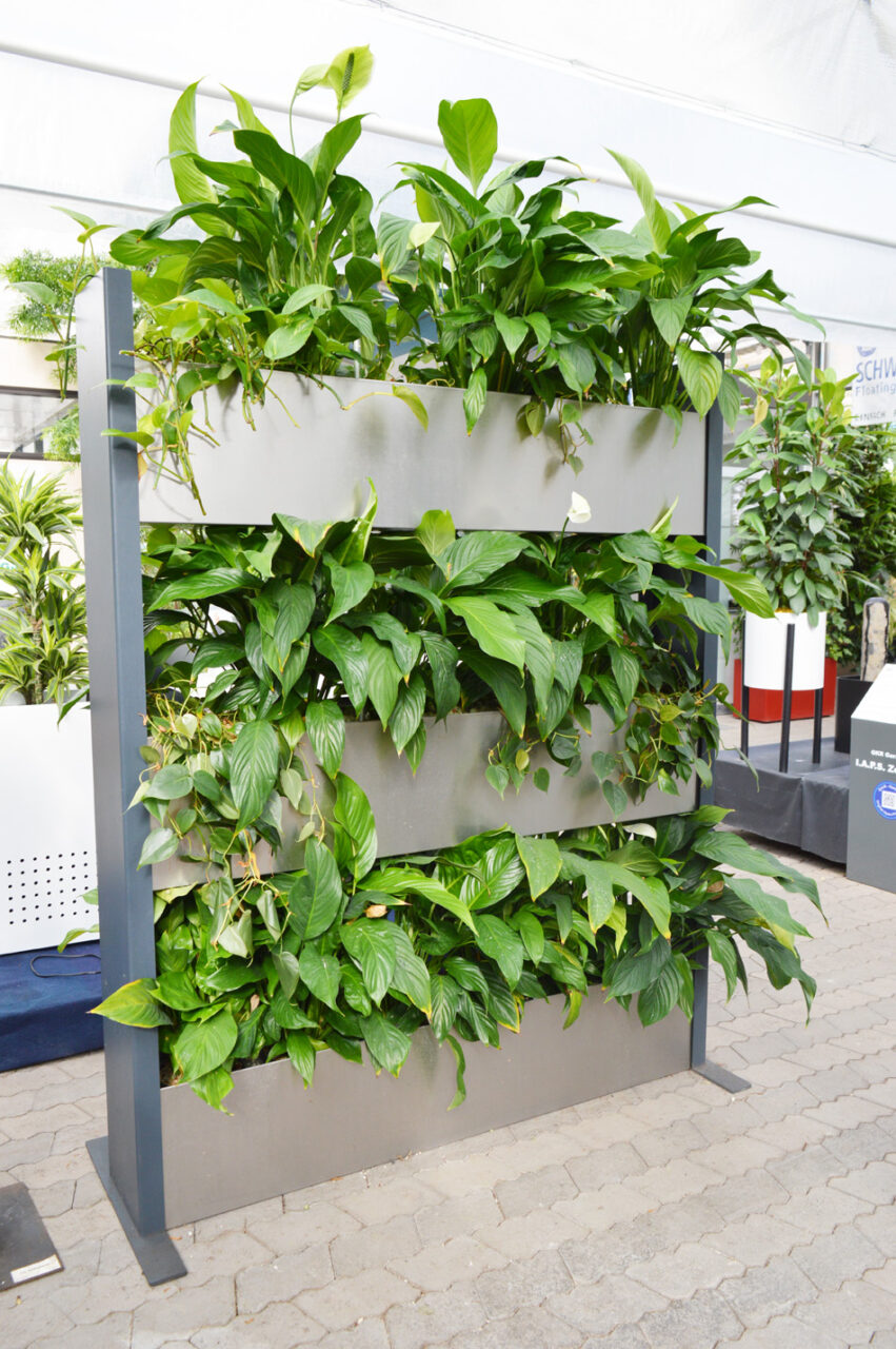 Raumteiler mit Pflanzen und Hydro Profi Line System