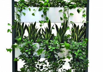 Die wohl innovativsten grünen Raumteiler aus Edelstahl: Hydro Profi Line Raumteiler