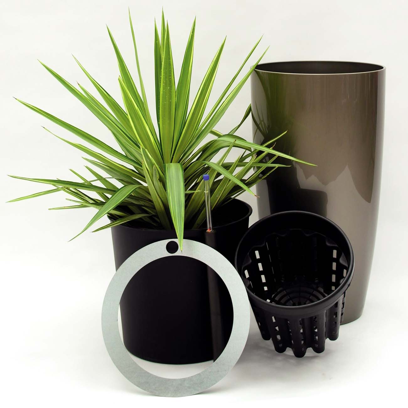Pflanzenarrangements Freiland_Topf in Topf