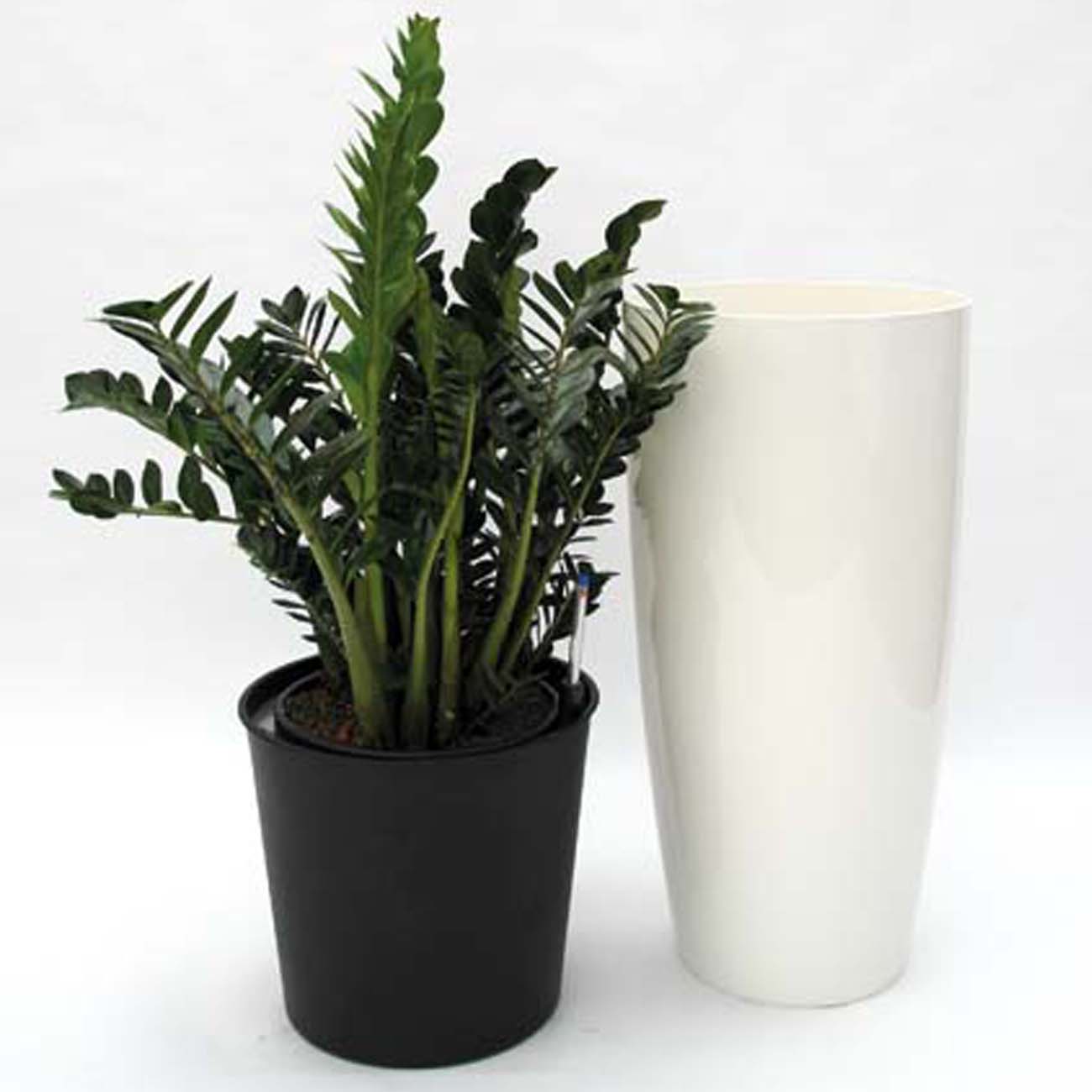 Pflanzenarrangements mit Erde_Topf in Topf