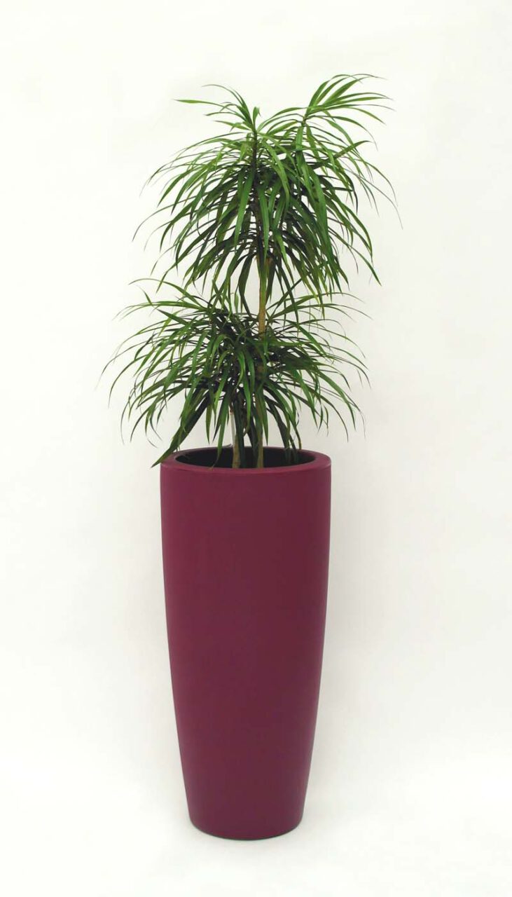 Talos RD 33 Top Seller 02