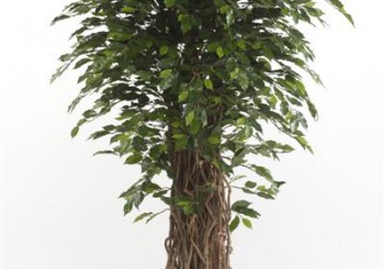 Ficus künstlich Textilpflanzen Kunstpflanzen