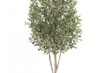 Olivenbäume künstlich aus Textil oder Kunststoff