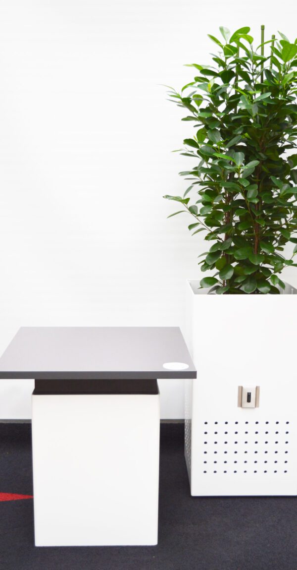 MM Box weiss hochglanz mit Ficus moclame und Beistelltisch MM Box weiss hochglanz mit Ficus moclame und Beistelltisch