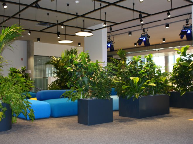 HPL Pflanzbecken aus Edelstahl nach Maß für Innenraumbegrünungen 11