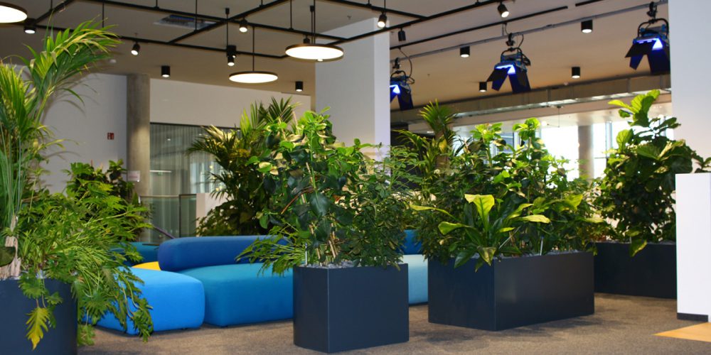 HPL Pflanzbecken aus Edelstahl nach Maß für Innenraumbegrünungen 11