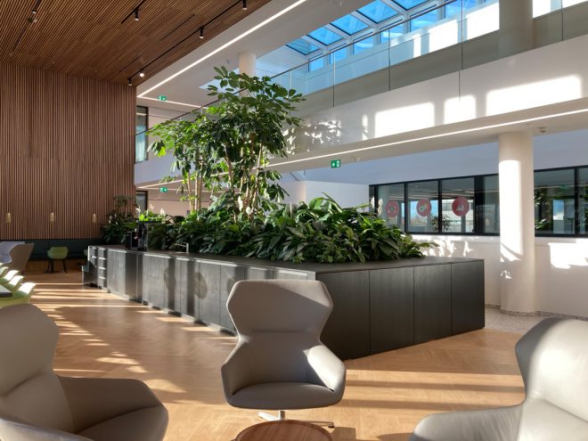 HPL Pflanzbecken aus Edelstahl nach Maß für Innenraumbegrünungen 5